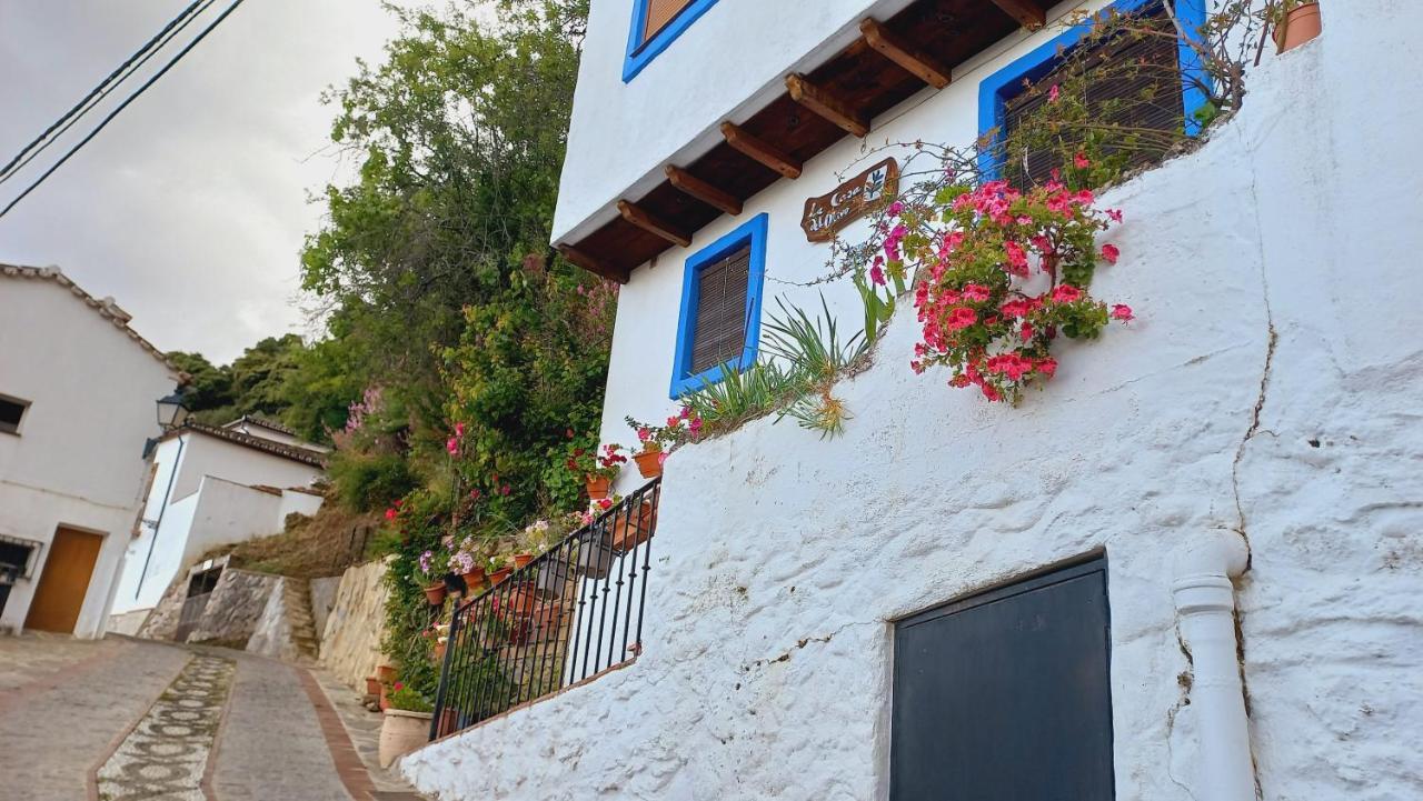 Casa El Olivo By Casaturistica Сasa de vacaciones Benalauría