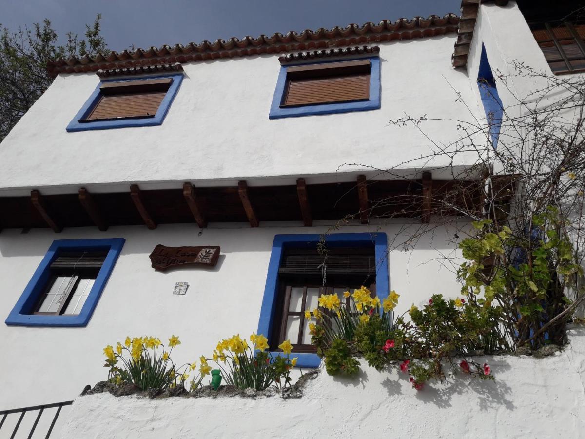 Сasa de vacaciones Casa El Olivo By Casaturistica