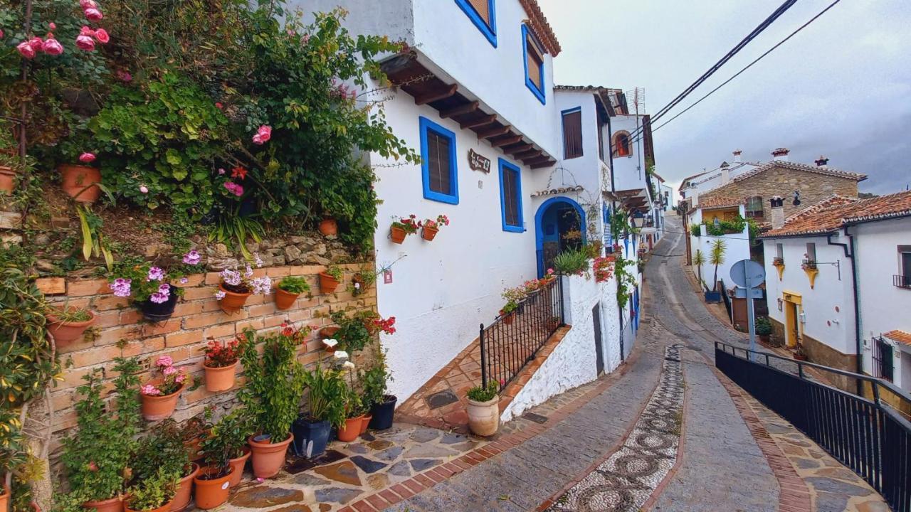Casa El Olivo By Casaturistica Benalauría